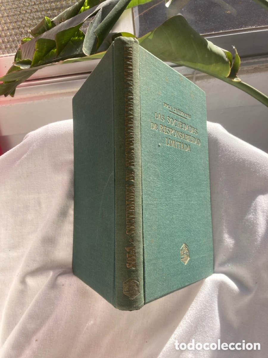 Libros: LAS SOCIEDADES DE RESPONSABILIDAD LIMITADA - Foto 2