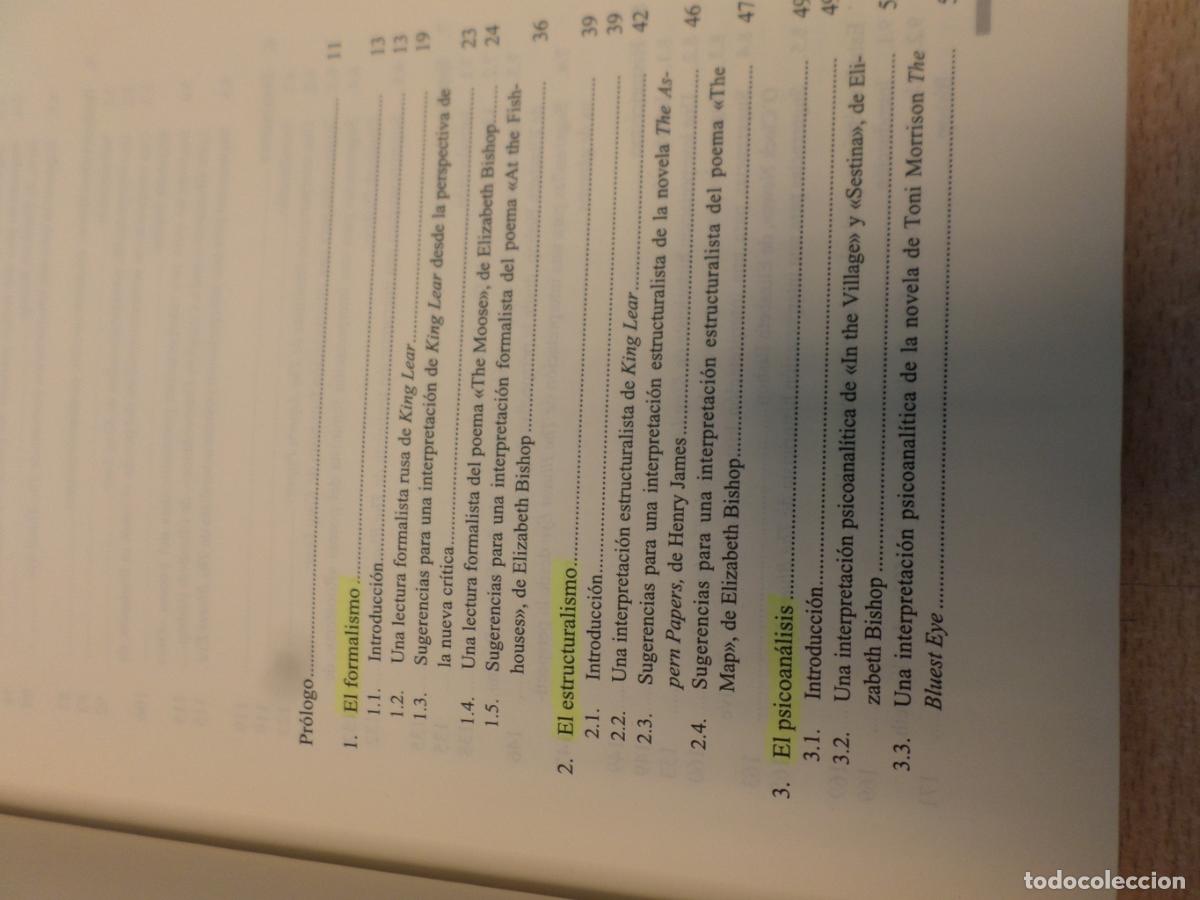 Libros: TEORIA LITERARIA. UNA INTRODUCCION PRACTICA. EDITORIAL ALIANZA 2002 - Michael Ryan - Foto 6