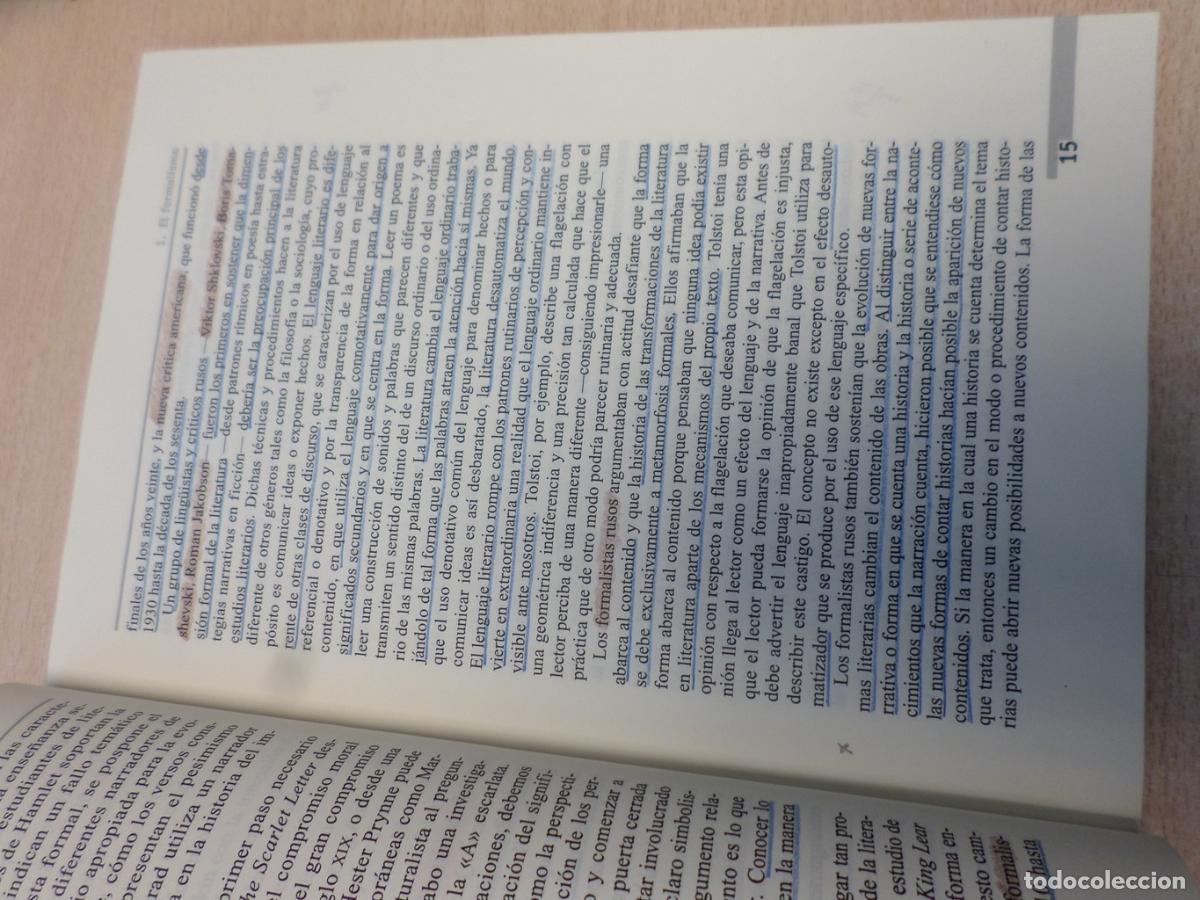 Libros: TEORIA LITERARIA. UNA INTRODUCCION PRACTICA. EDITORIAL ALIANZA 2002 - Michael Ryan - Foto 9