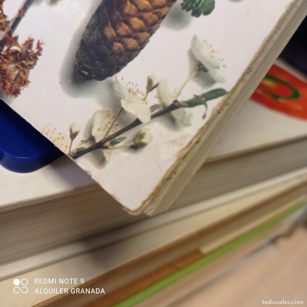 Libros: LOS ARBOLES - BLUME 1&ordf; ED. 1985 - ROGER PHILLIPS - Foto 3