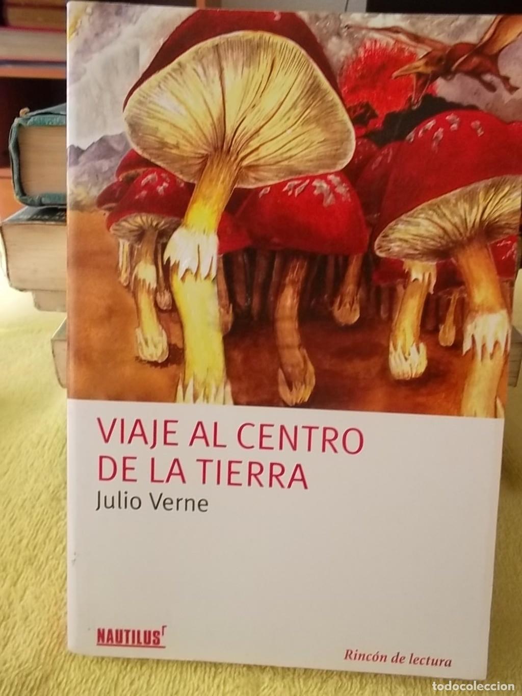 Libros: VIAJE AL CENTRO DE LA TIERRA - Julio Verne - Foto 1