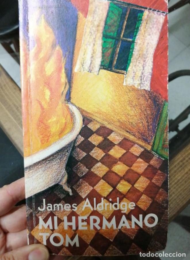 Libros: MI HERMANO TOM - James Aldrigde - Foto 1