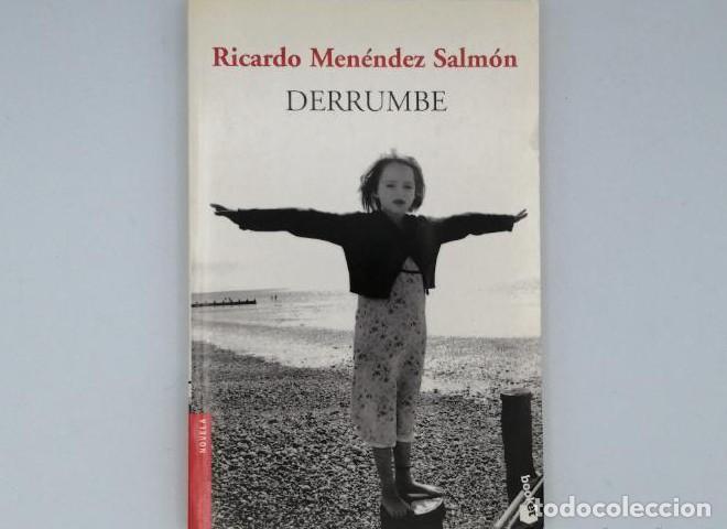 Libros: DERRUMBE - Ricardo Men&eacute;ndez Salm&oacute;n - Foto 1