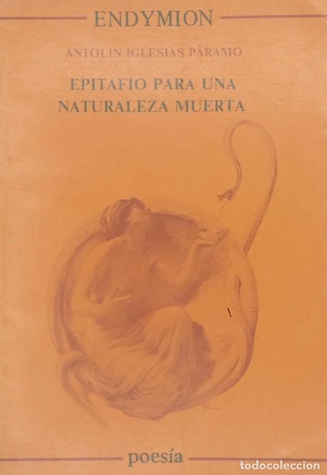 Libros: EPITAFIO PARA UNA NATURALEZA MUERTA - Antol&iacute;n Iglesias P&aacute;ramo - Foto 1