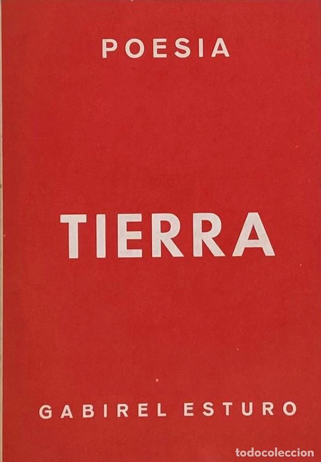 Libros: TIERRA - Gabirel Esturo - Foto 1