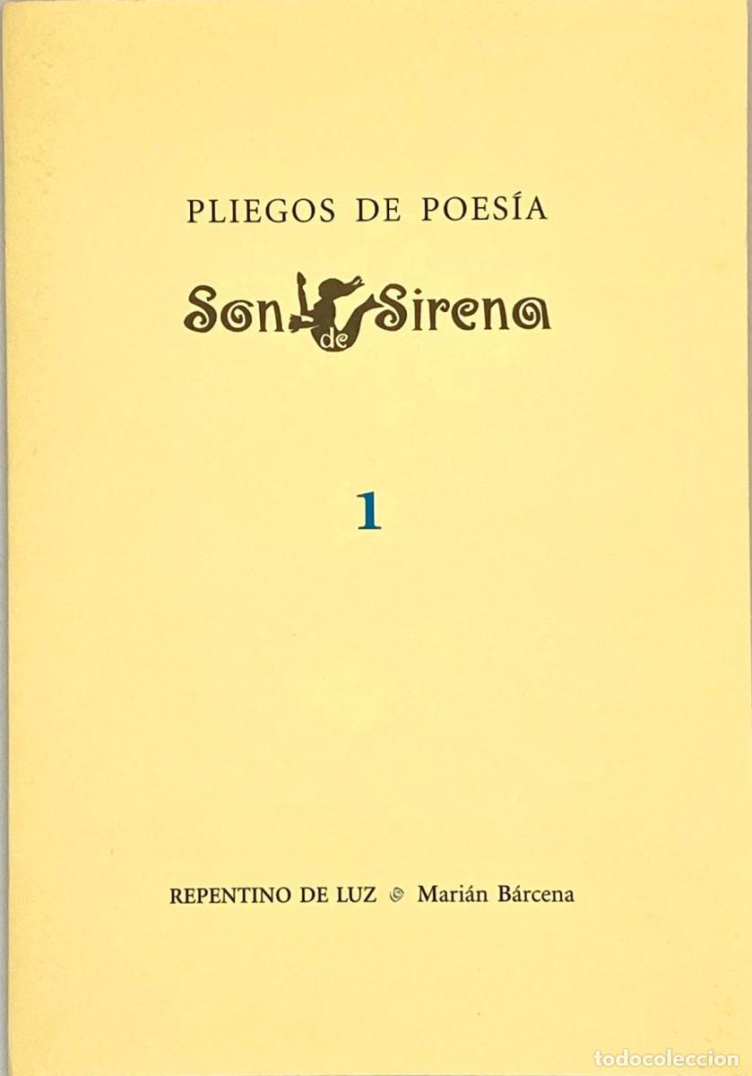 Libros: REPENTINO DE LUZ - Mari&aacute;n B&aacute;rcena - Foto 1