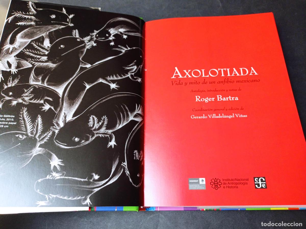 Libros: 2011 - ROGER BARTRA. Axolotiada. Vida y mito de un anfibio mexicano - Foto 3