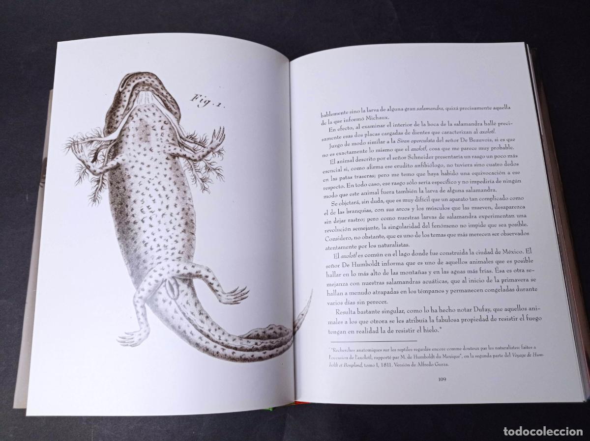 Libros: 2011 - ROGER BARTRA. Axolotiada. Vida y mito de un anfibio mexicano - Foto 4