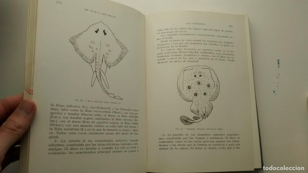 Libros: Caza submarina - Juan Sala Matas - Foto 8
