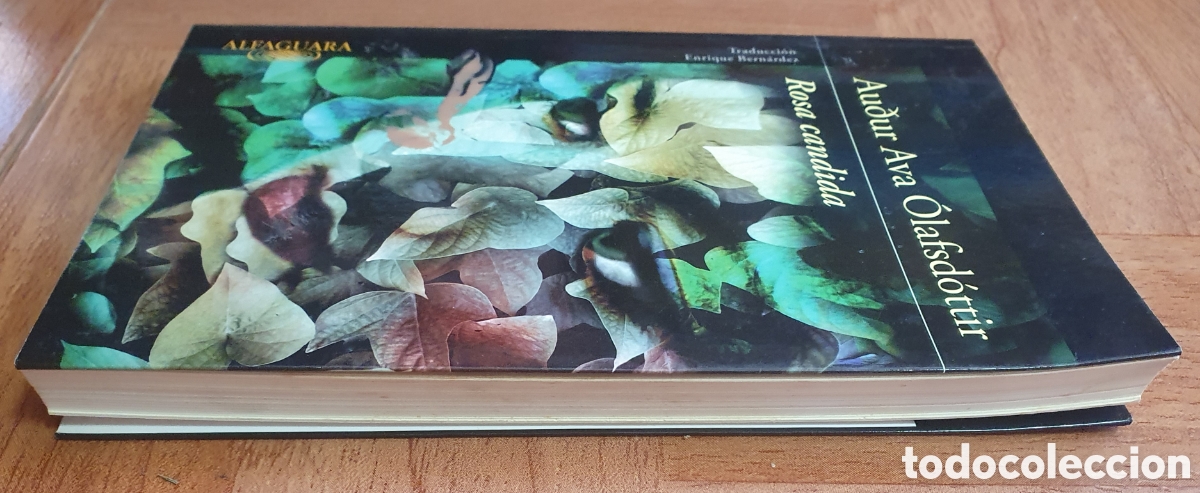 Libros: Rosa C&aacute;ndida � Alfaguara - Audur Ava &Oacute;lafsd&oacute;ttir - Foto 2