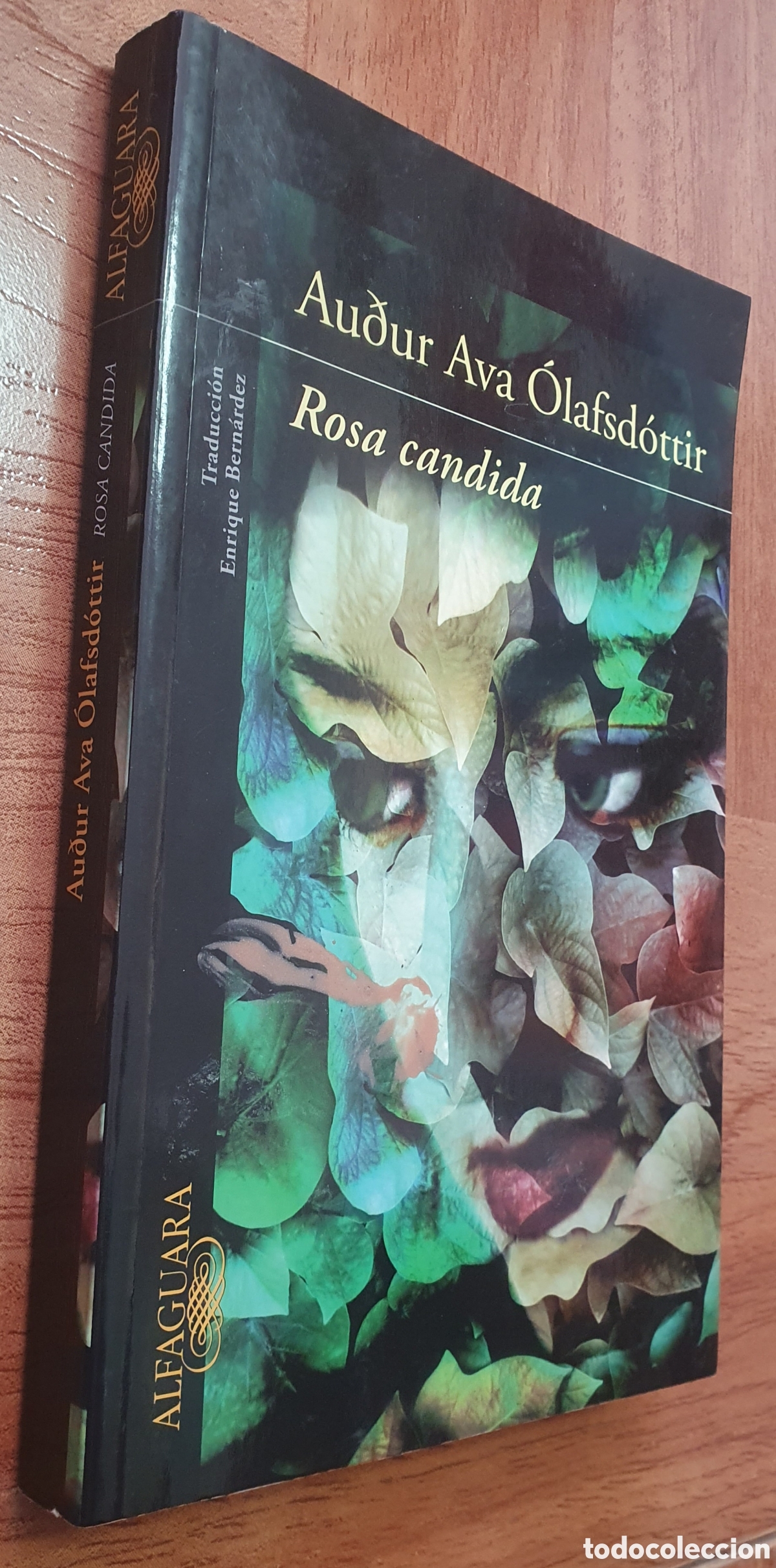 Libros: Rosa C&aacute;ndida � Alfaguara - Audur Ava &Oacute;lafsd&oacute;ttir - Foto 1