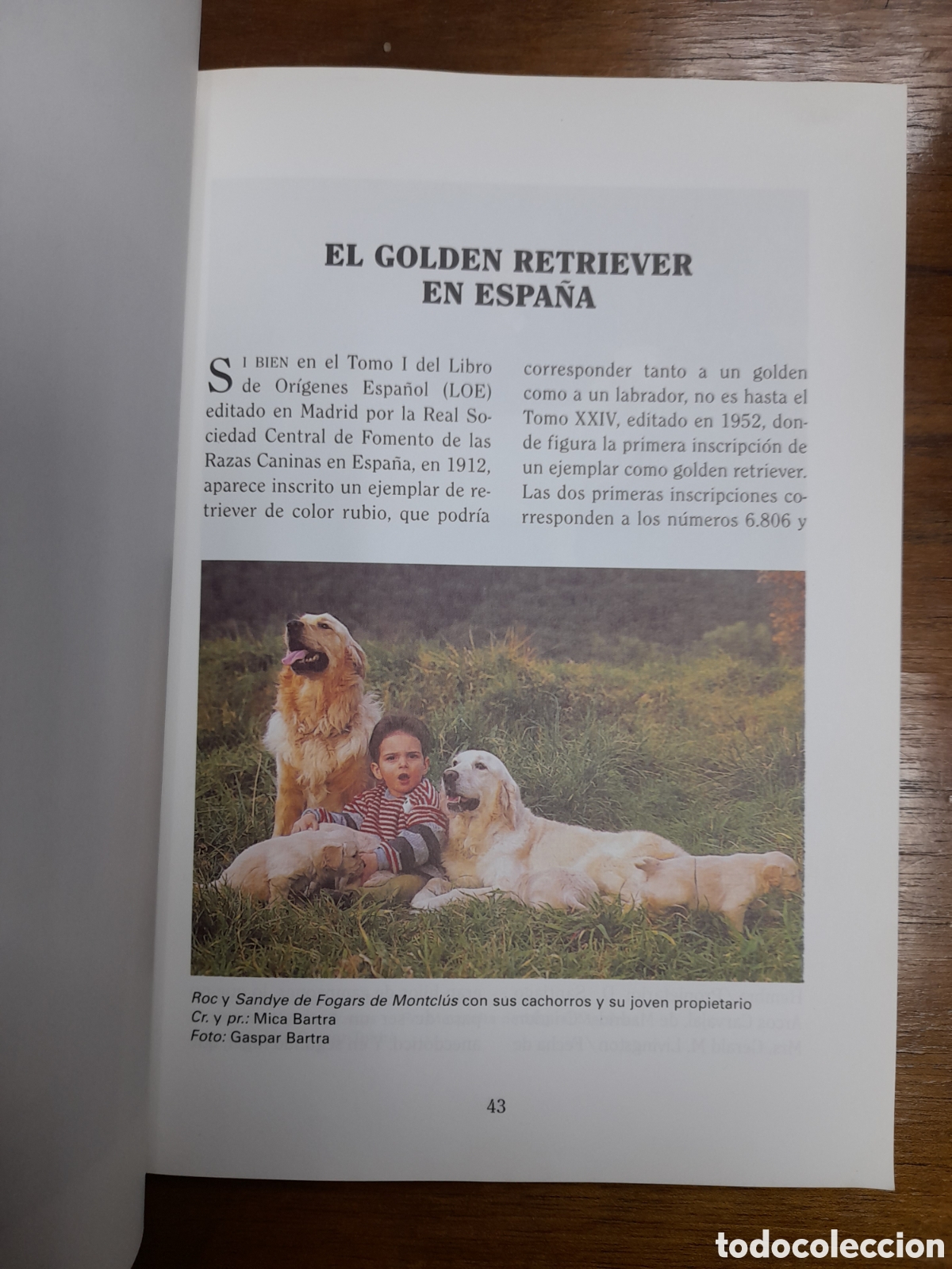 Libros: Golden Retriever, , J. J. Hamilton - TIKAL - Foto 3