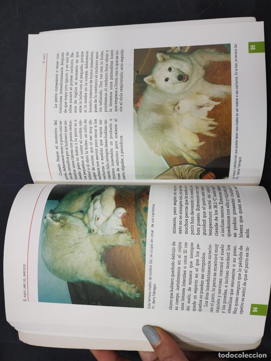 Libros: samoyedo salvador gomez-toldra tikal - Foto 3