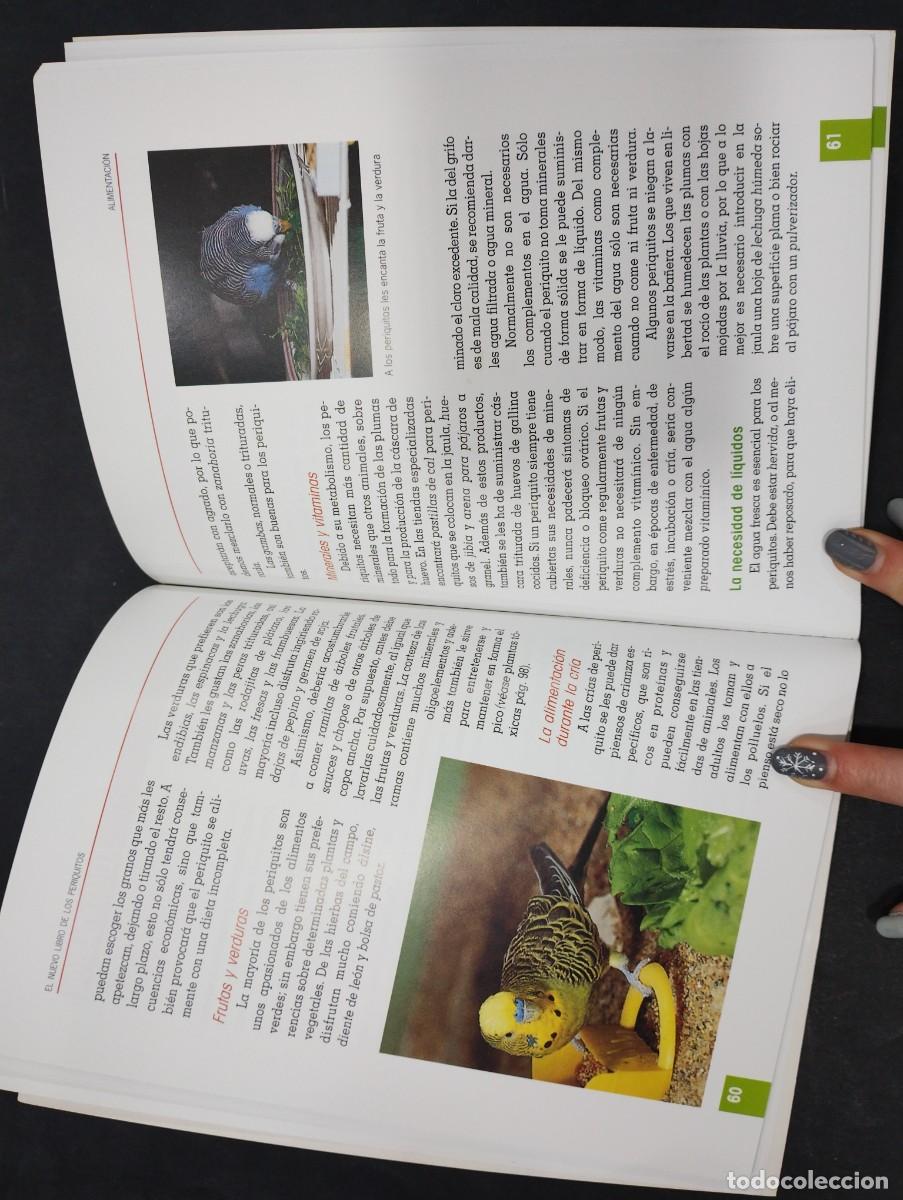Libros: nuevo libro de los periquitos horst bielfeld tikal - Foto 3