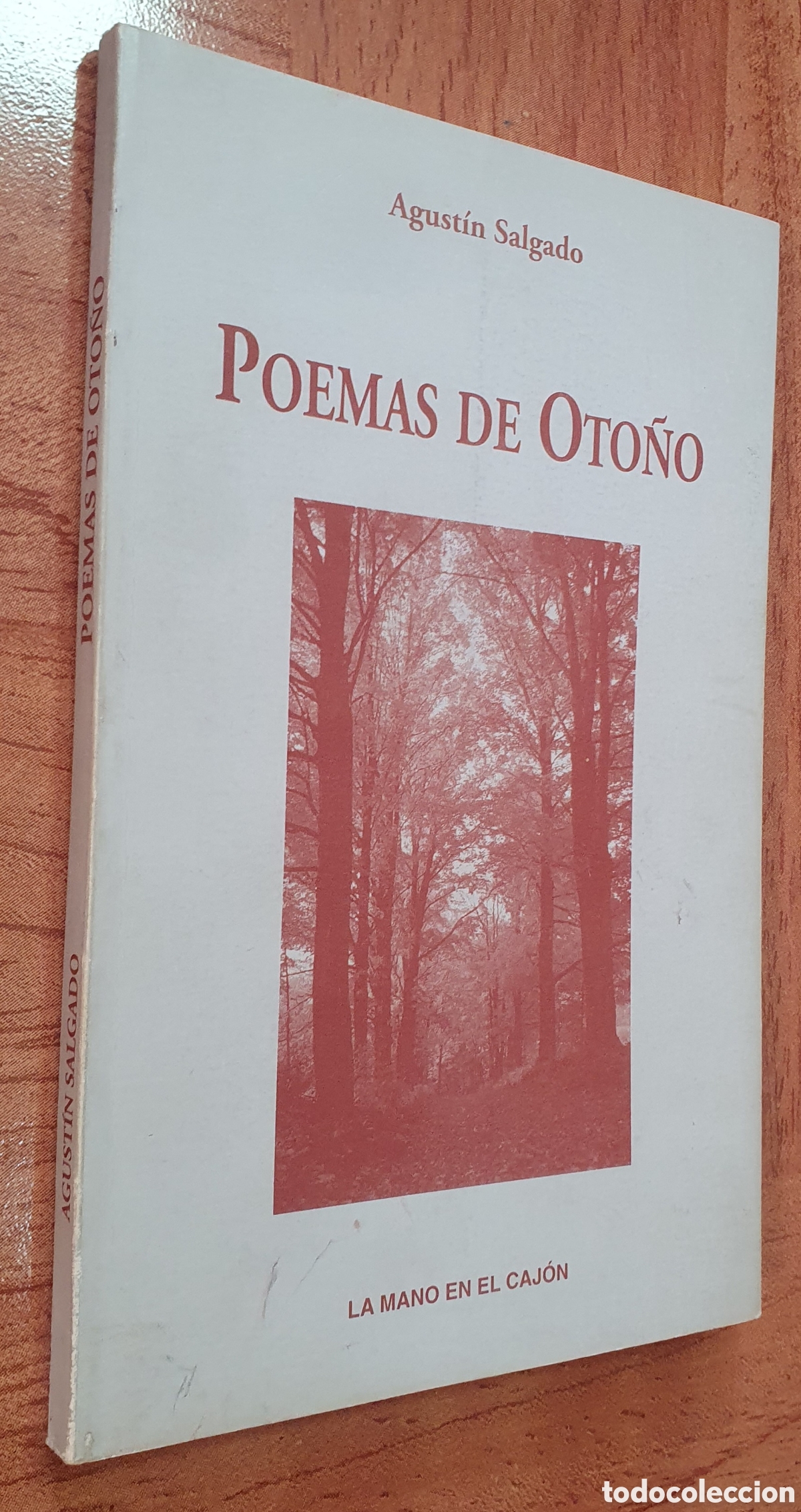 Libros: Poemas de Oto&ntilde;o - Agust&iacute;n Salgado - Foto 1
