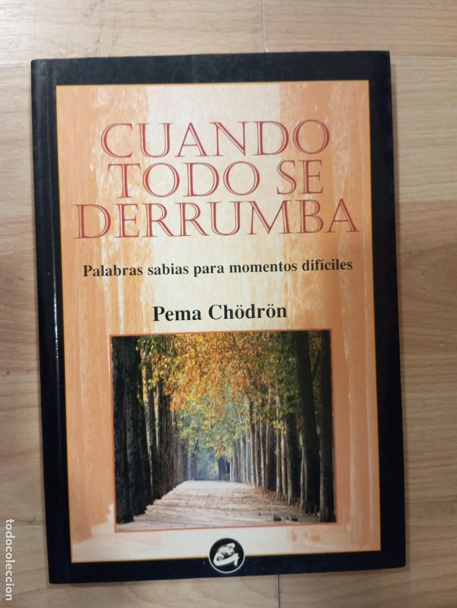 Libros: Cuando todo se derrumba. Pema Ch&ouml;dr&ouml;n - Foto 1