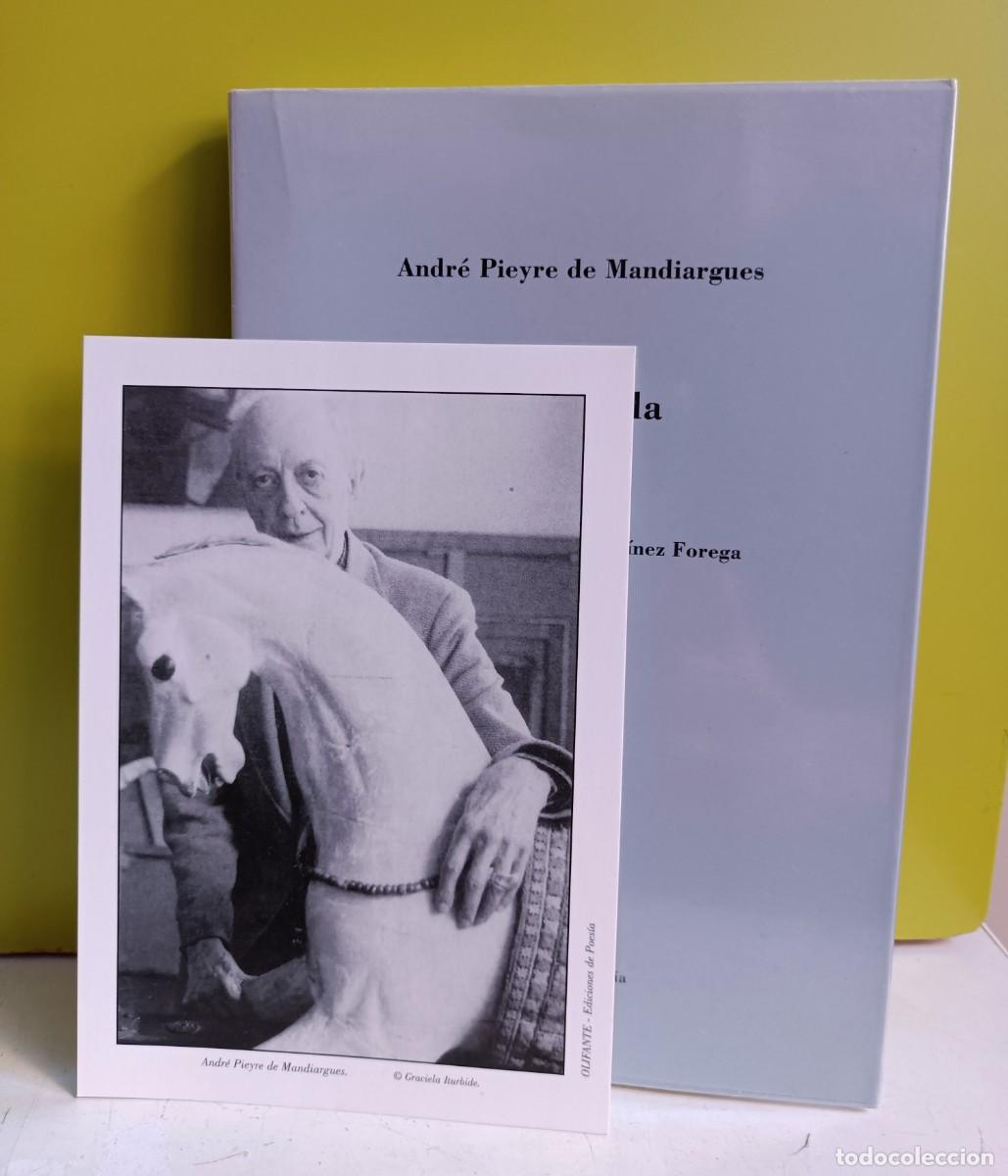Libros: Andr&eacute; Pieyre de MANDIARGUES: Gris perla - Foto 2