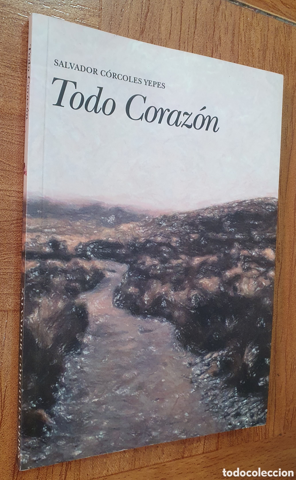 Libros: Todo Coraz&oacute;n - Salvador C&oacute;rcoles Yepes - Foto 1