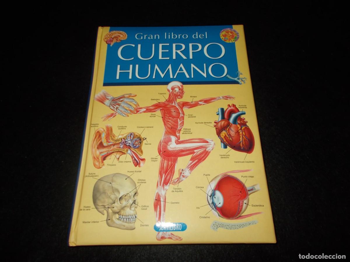Libros: EL GRAN LIBRO DEL CUERPO HUMANO. Servilibro - Foto 1