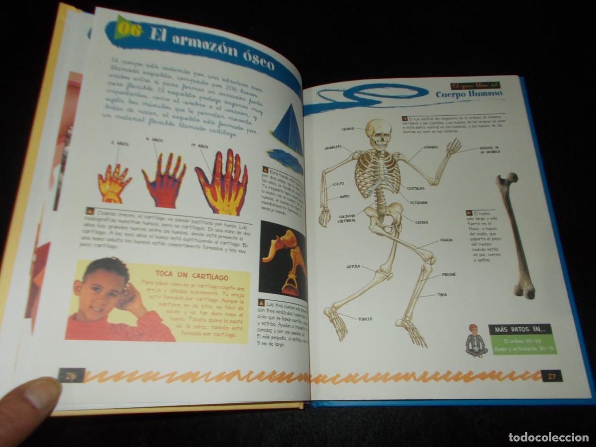 Libros: EL GRAN LIBRO DEL CUERPO HUMANO. Servilibro - Foto 2