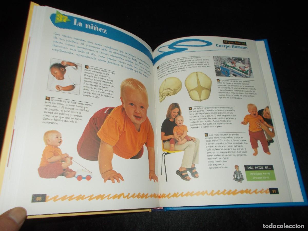 Libros: EL GRAN LIBRO DEL CUERPO HUMANO. Servilibro - Foto 3