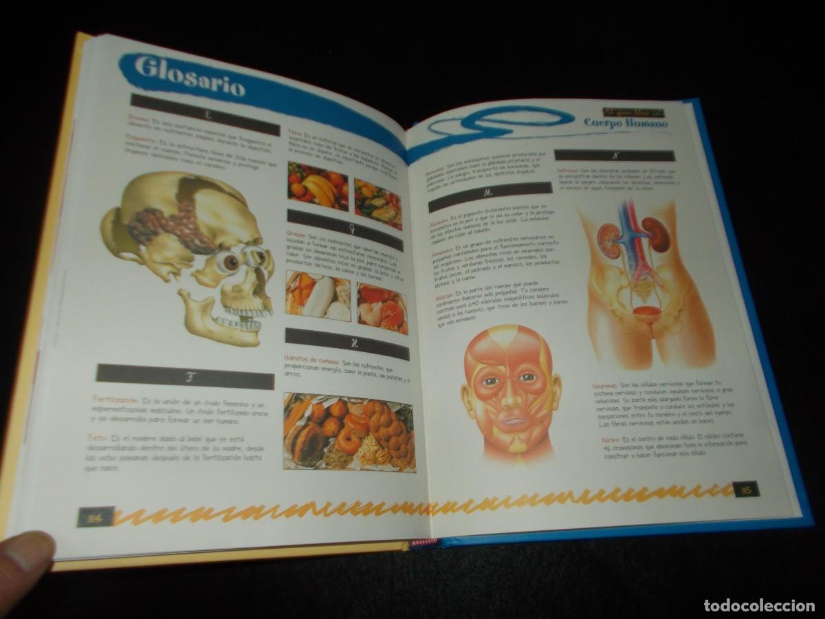Libros: EL GRAN LIBRO DEL CUERPO HUMANO. Servilibro - Foto 4
