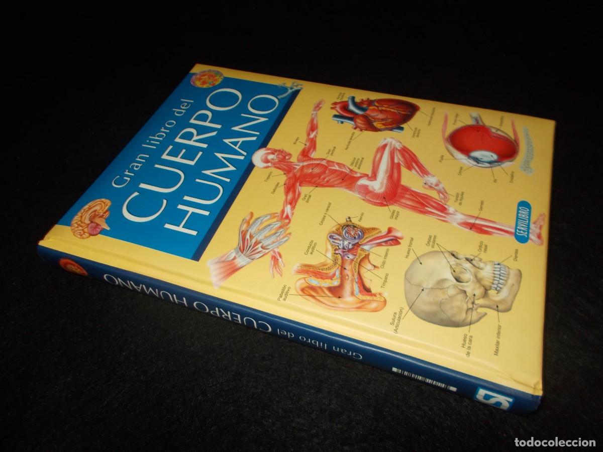Libros: EL GRAN LIBRO DEL CUERPO HUMANO. Servilibro - Foto 6