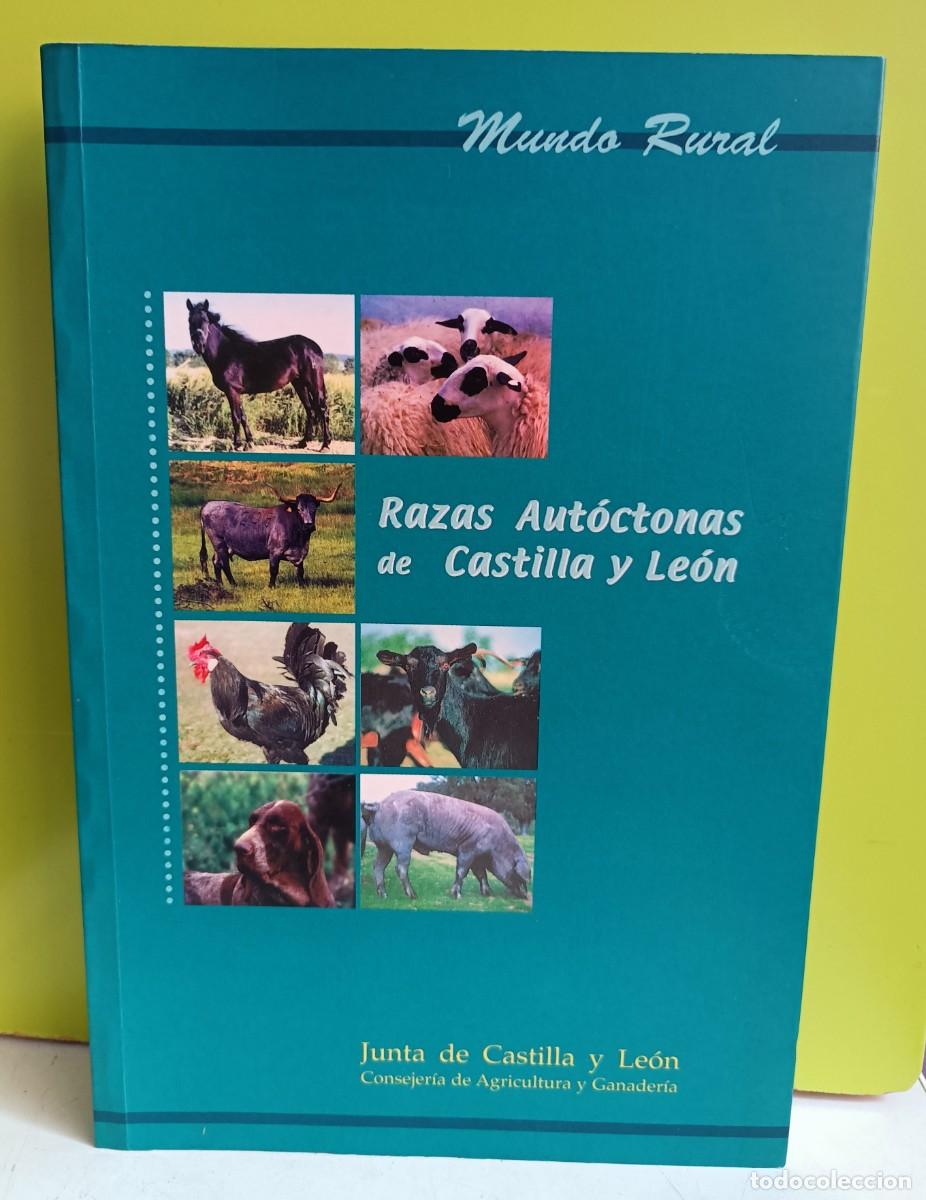 Libros: Razas aut&oacute;ctonas de Castilla y Le&oacute;n junta castilla - Foto 1