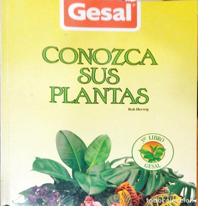 Libros: Conozca sus plantas - HERWIG, ROB - Foto 1