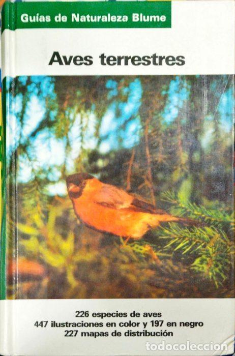 Libros: Aves terrestres - VVAA - Foto 1