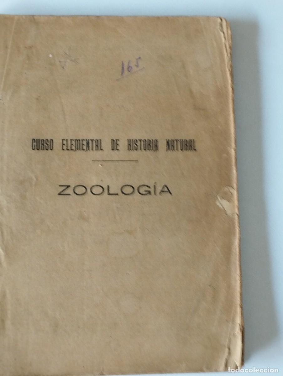 Libros: CURSO ELEMENTAL DE HISTORIA NATURAL ZOOLOGIA VER FOTOS SIN CUBIERTAS