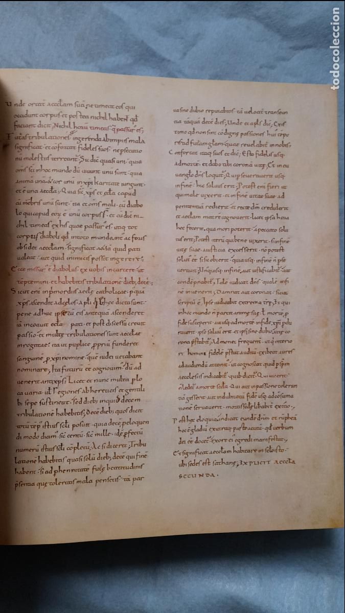 Libros: C&oacute;dice. Comentarios al Apocalipsis y al Libro de Daniel. Beato de Li&eacute;bana. Edici&oacute;n 2.000 Ejemplares - Foto 8