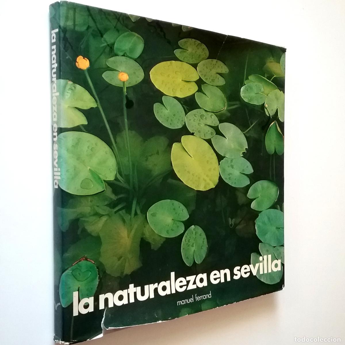 Libros: Manuel Ferrand - La naturaleza en Sevilla - Foto 1