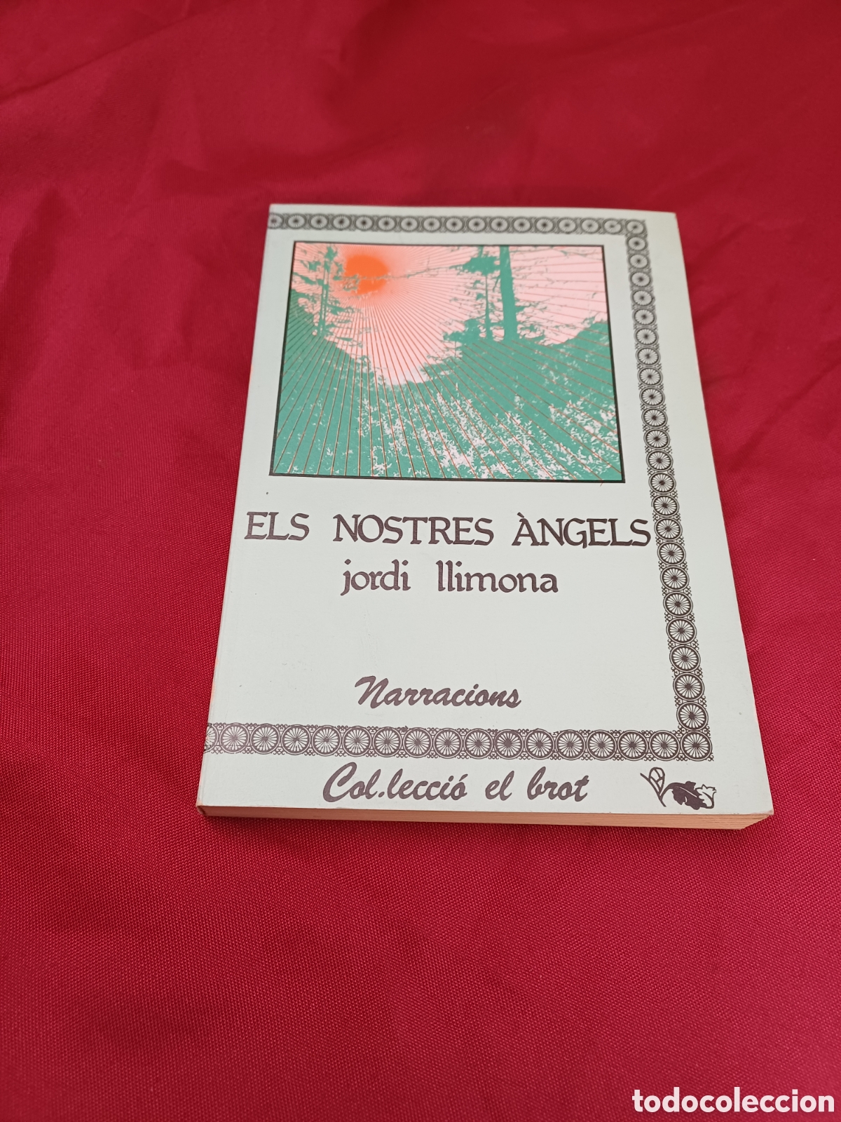 Libros: LIBRO, ELS NOSTRES ANGELS, JORDI LLIMONA - Foto 1