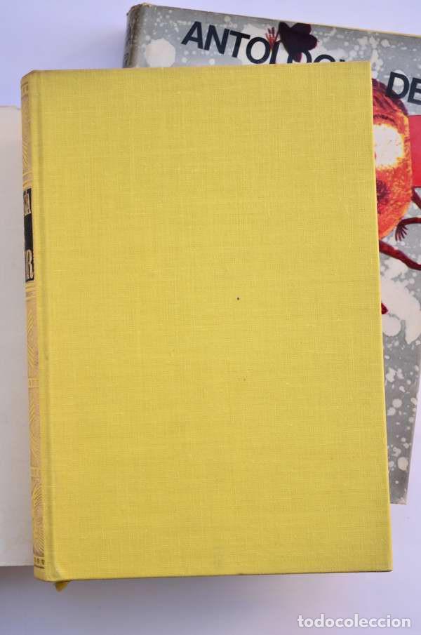 Libros: Antolog&iacute;a del humor - AUTORES VARIOS - Foto 7