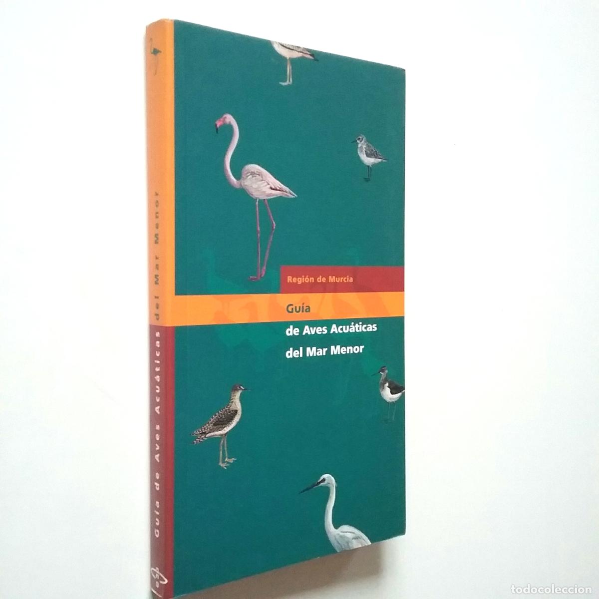 Libros: VV. AA. - Gu&iacute;a de Aves Acu&aacute;ticas del Mar Menor - Foto 1