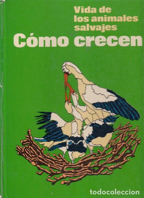 Libros: VIDA DE LOS ANIMALES SALVAJES. C&Oacute;MO CRECEN - SALVAT - Foto 1