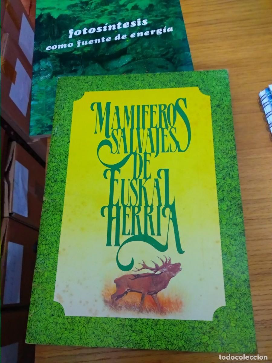 Libros: MAMIFEROS SALVAJES DE EUSKAL HERRIA - Foto 1