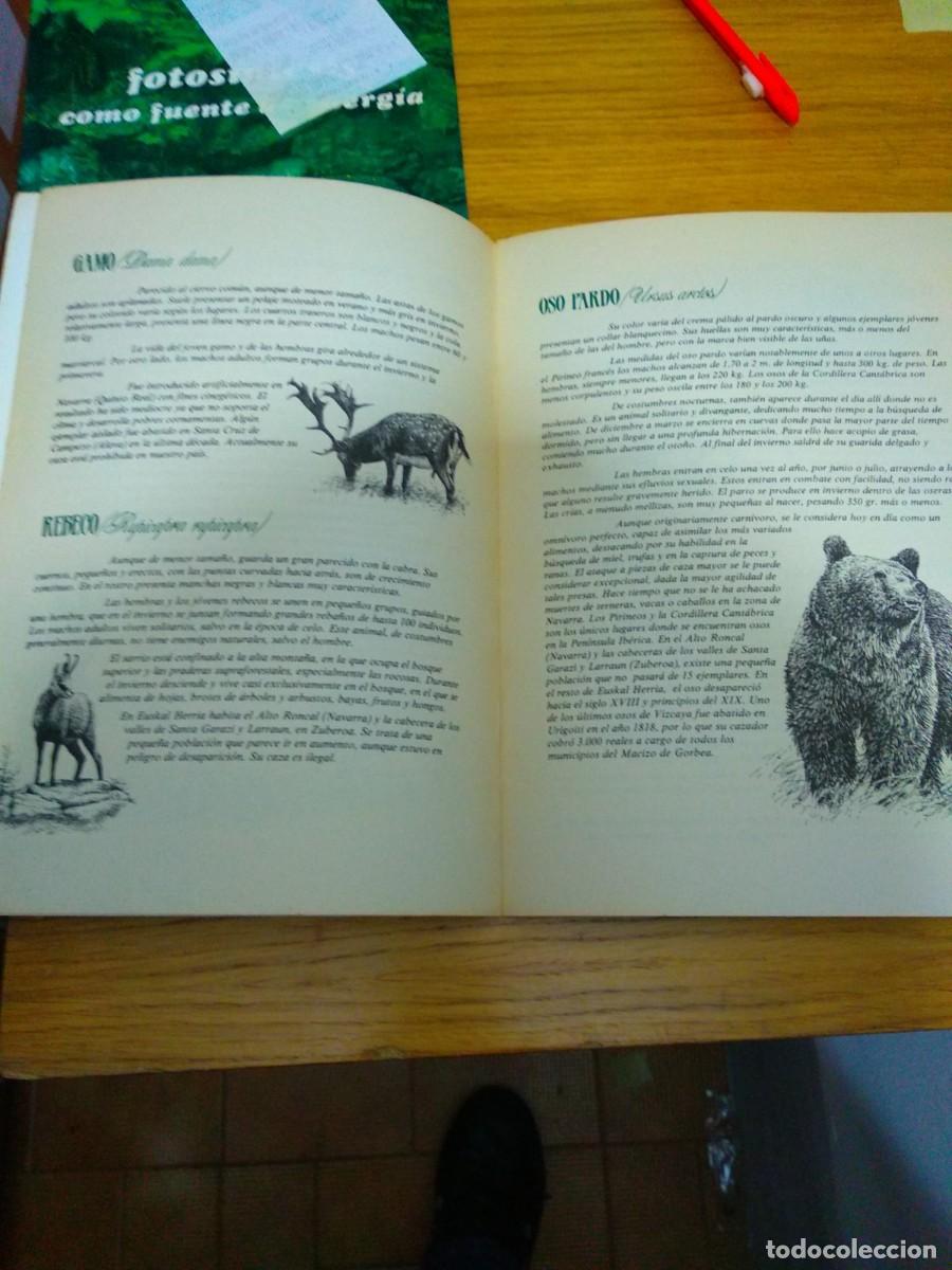 Libros: MAMIFEROS SALVAJES DE EUSKAL HERRIA - Foto 2