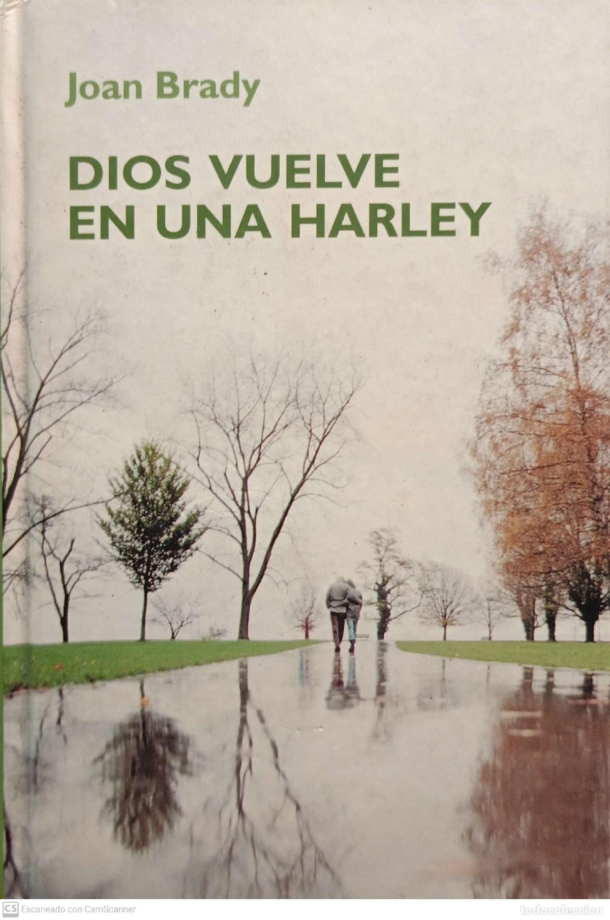 Libros: Dios vuelve en una Harley - Joan Brady - Foto 1
