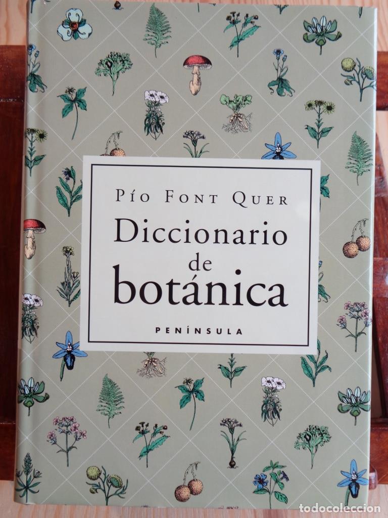 Libros: DICCIONARIO DE BOT&Aacute;NICA - P&Iacute;O FONT QUER - Foto 1