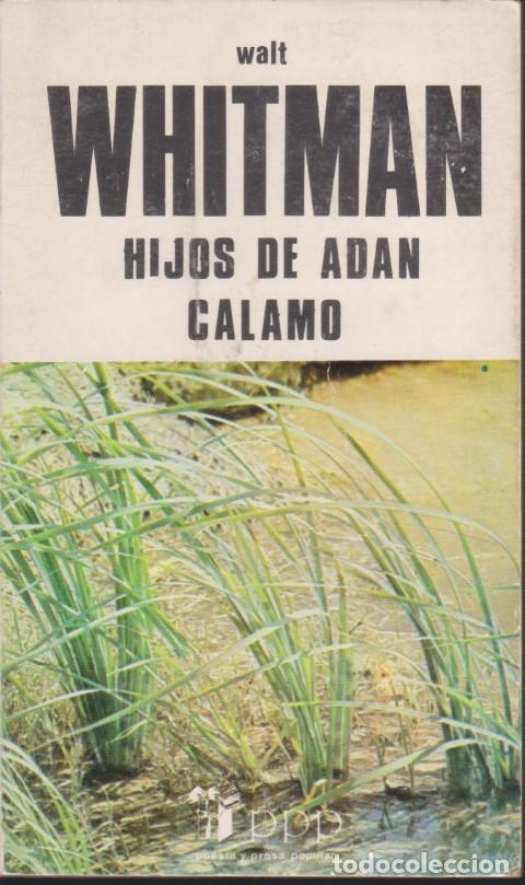 Libros: HIJOS DE AD&Aacute;N - C&Aacute;LAMO - WALT WHITMAN - Foto 1