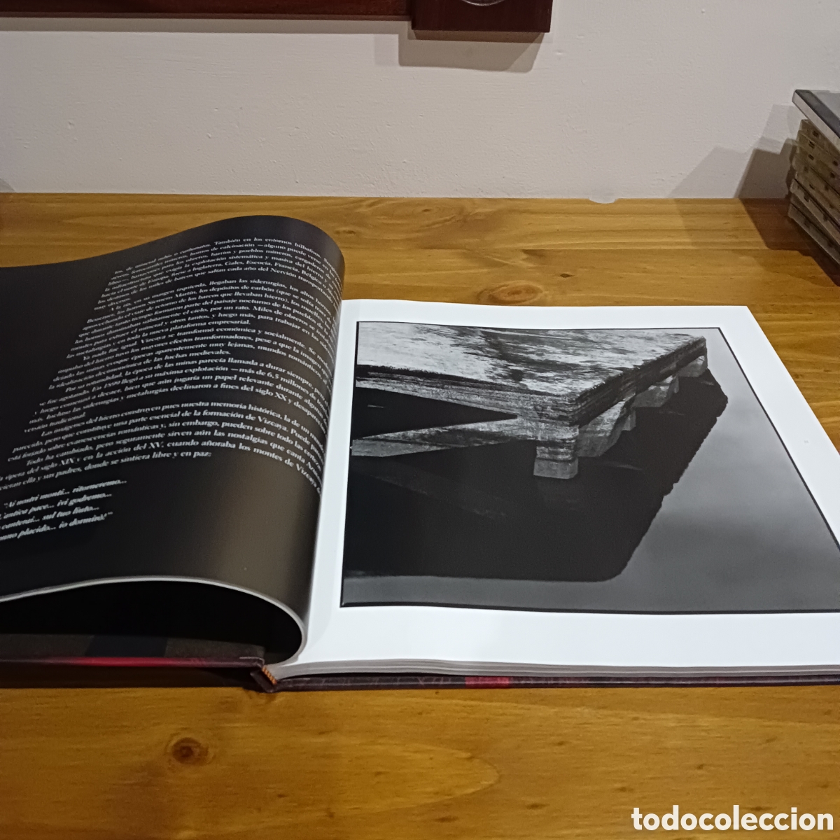 Libros: Stride la vampa . Fundaci&oacute;n BBVA - Foto 4