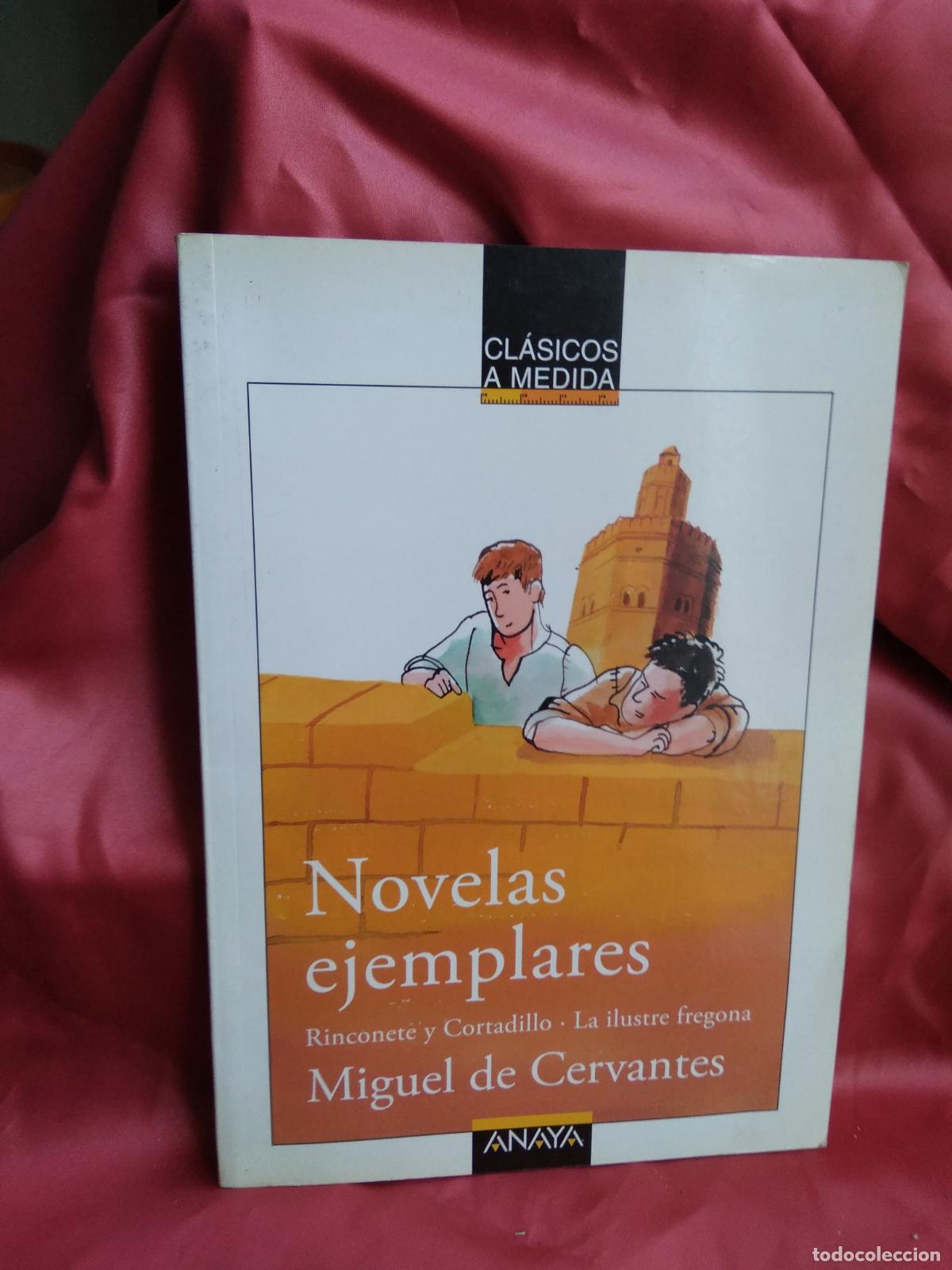 Libros: Novelas ejemplares Rinconete y Cortadillo Miguel de Cervantes L.25813-401
