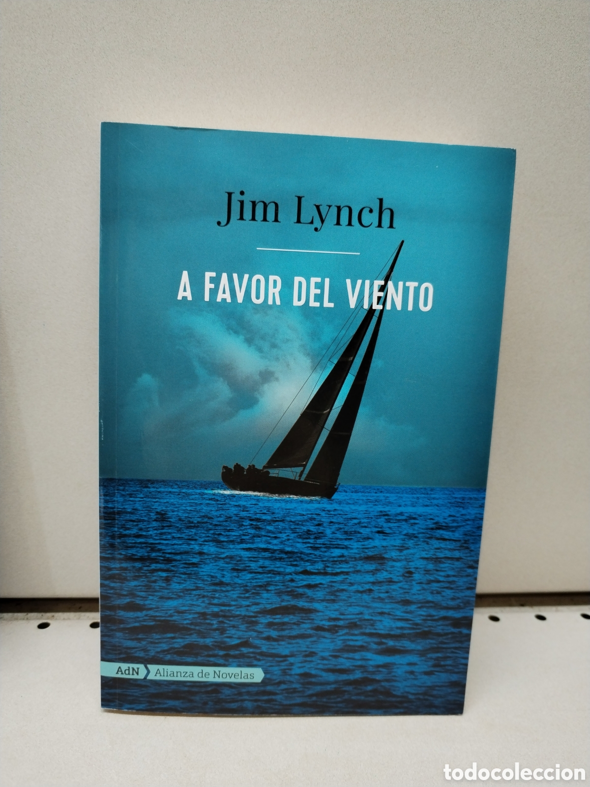 Libros: A favor del viento - Lynch, Jim - Foto 1