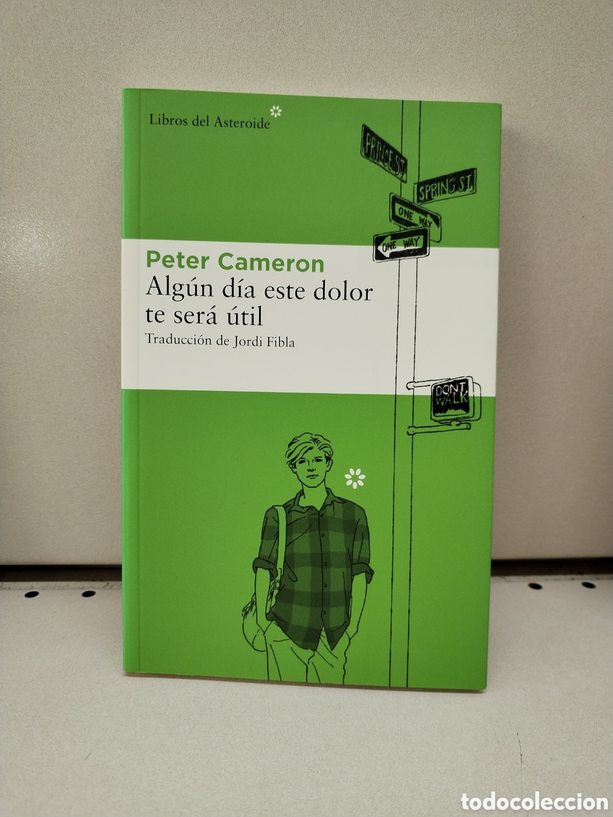 Libros: Alg&uacute;n d&iacute;a este dolor te ser&aacute; &uacute;til - Cameron, Peter - Foto 1