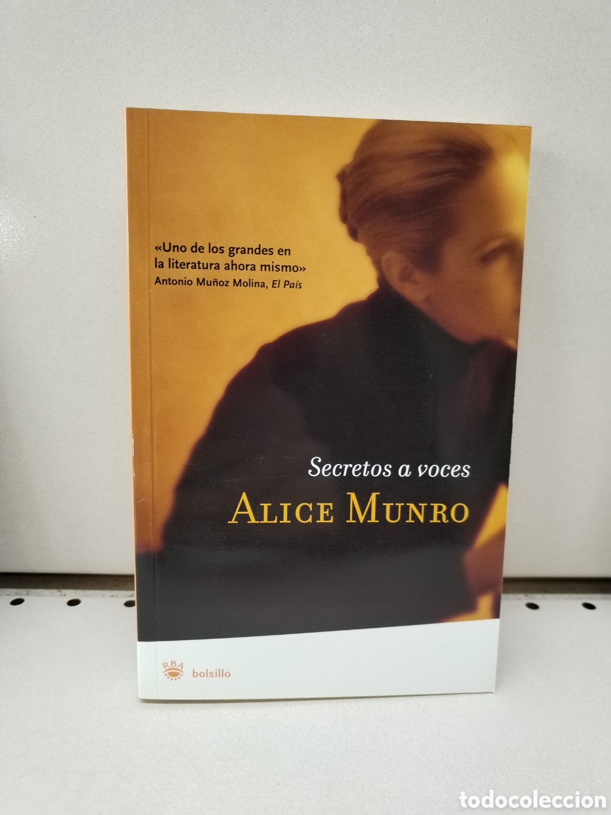 Libros: Secretos a voces - Munro, Alice - Foto 1