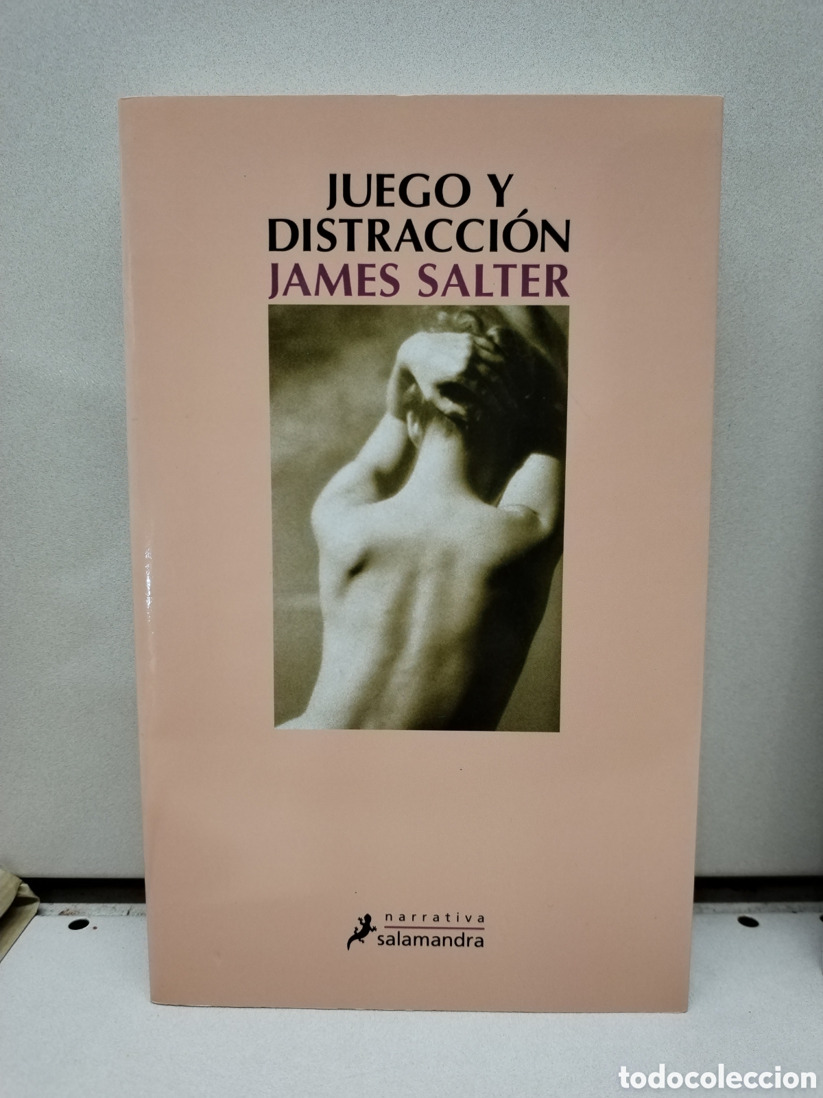 Libros: Juego y distracci&oacute;n - Salter, James - Foto 1
