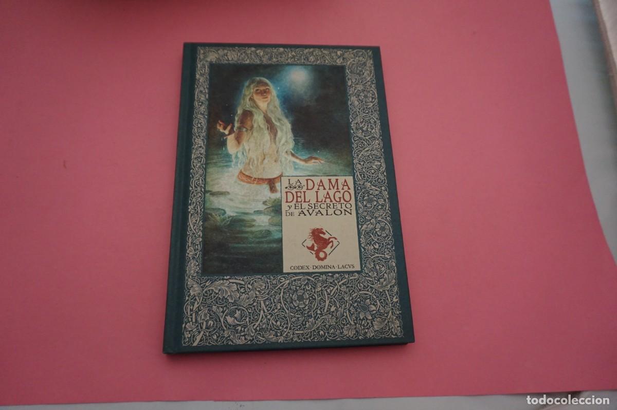 Libros: 6A/ LA DAMA DEL LAGO Y EL SECRETO DE AVALON / CODEX - DOMINA - LACVS - Foto 1