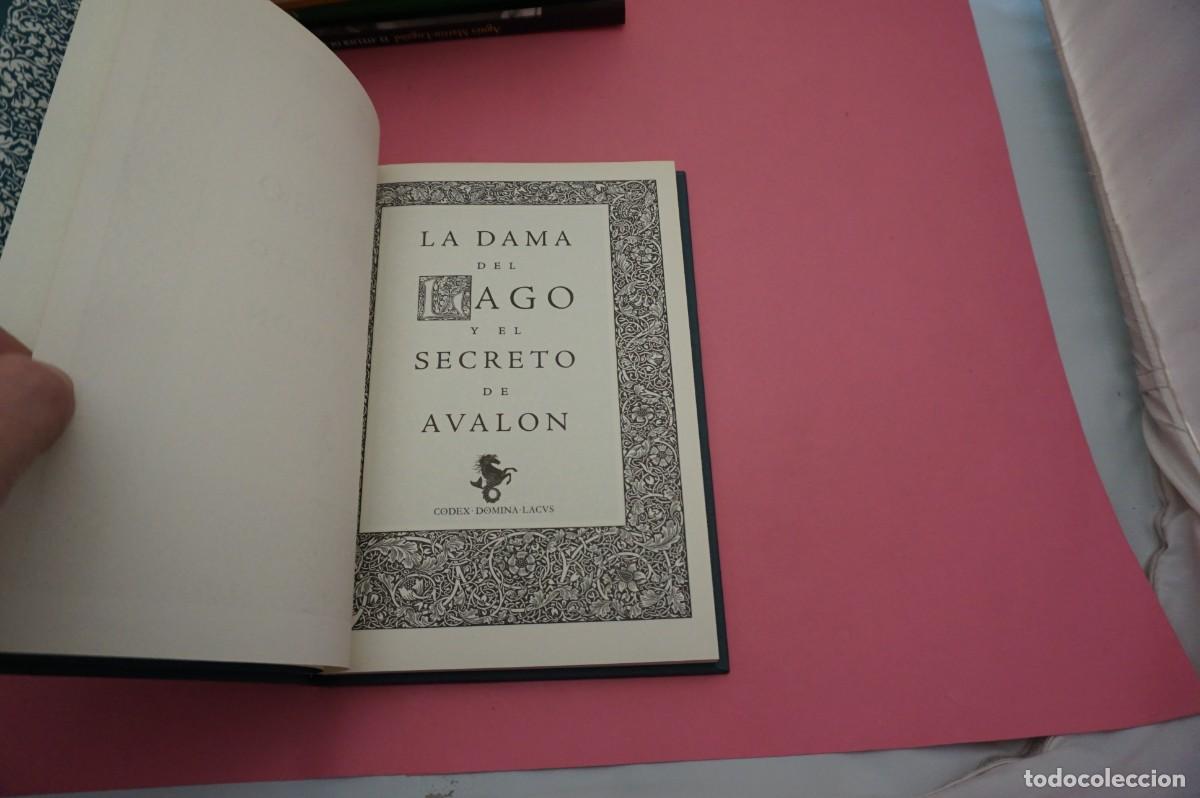 Libros: 6A/ LA DAMA DEL LAGO Y EL SECRETO DE AVALON / CODEX - DOMINA - LACVS - Foto 3